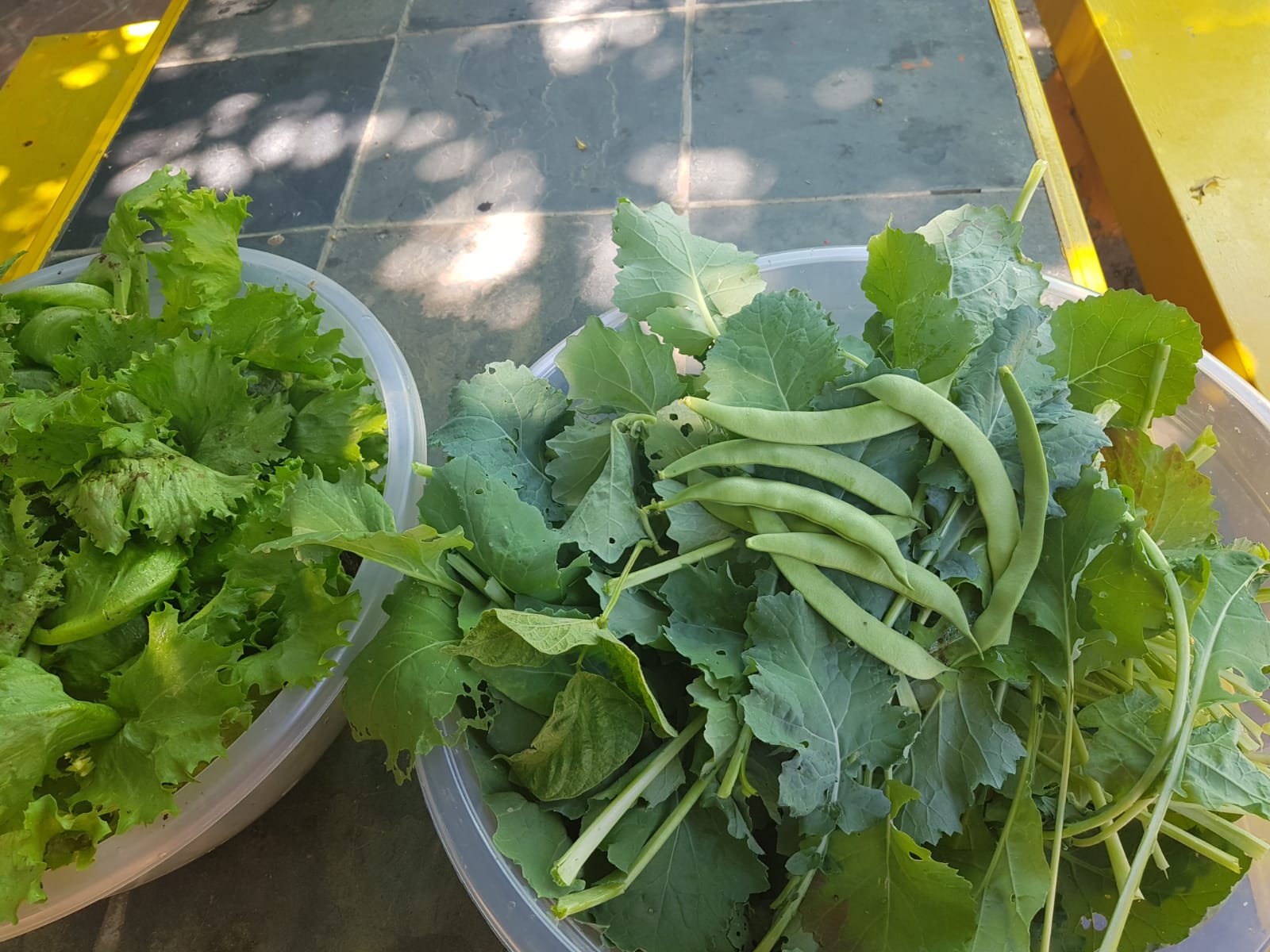 IMG-20211208-WA0013